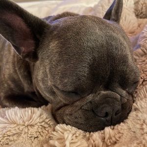 Meet your Posher, Kim